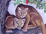 Mountain Lions Painting
