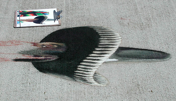 side view of the sombrero