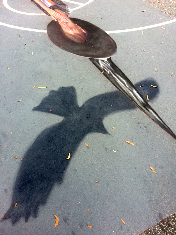 Done, closeup of hawk shadow