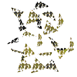 triangles with leaf properties placed around a tree