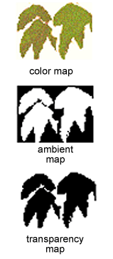 color, ambient light, and transparency maps for a group of leaves