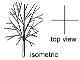 cross section and isometric view of a tree made of two intersecting vertical planes