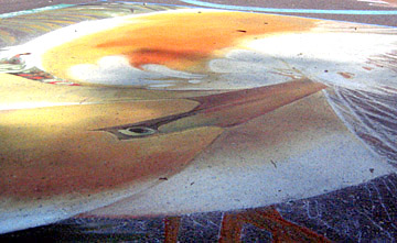 View from the lower left corner