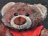 teddy bear head